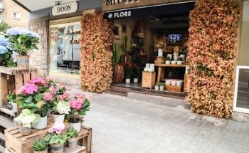 Mitre & Mandri Flors