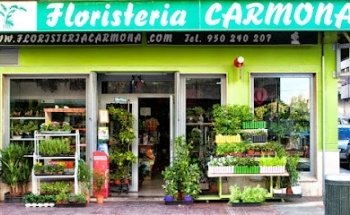 Floristeria Carmona Calzada