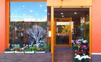 Flors Mateu