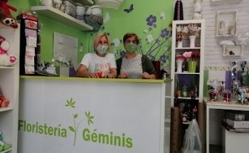 Floristería Géminis
