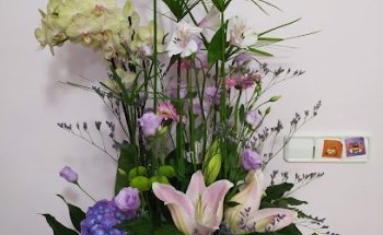 Elisabeth Villalonga Floristes.