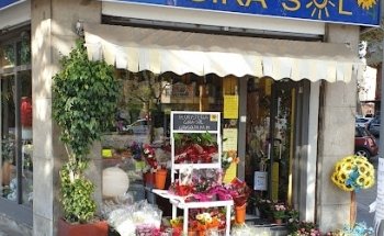Floristería Girasol en Palma de Mallorca