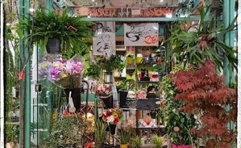 Floristería Pacheco Izeta Loredenda