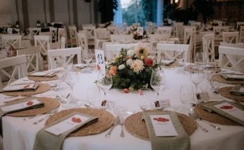 Susiflor - Invernaderos de flores