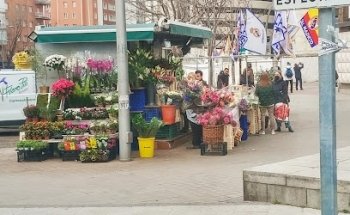 Pili Flores Bernabeu