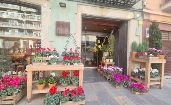 Floristeria Frèsia - Mataró