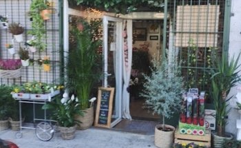 AMARANTO FLORISTERÍA