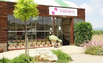 Art Floral Vallribera