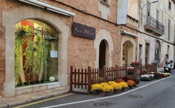 Flors Can Pellisseta