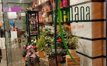 Floristería Ikebana