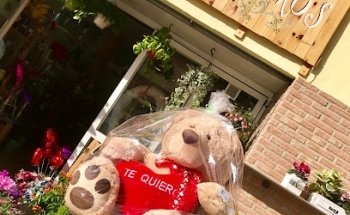 Floristeria Los Cocoteros