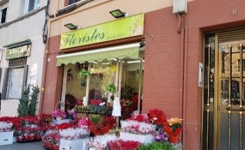 Floristeria Serrano des de 1971