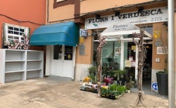 Flors I Verdesca