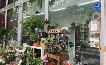 Floristeria Ikebana Diagonal