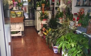 Floristería Natalia Flor