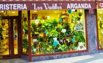 Floristería Arganda Los Vadillos