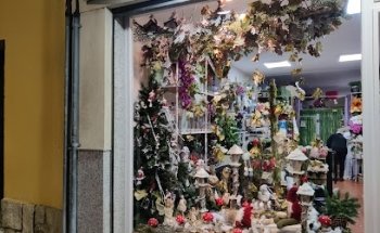 Decoración Floral Azahar S L