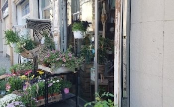 Cactusss&Tundra, Floristeria