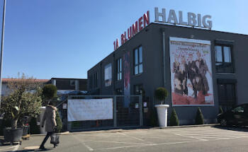 1A Blumen Halbig