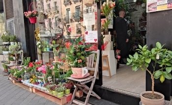 Floristería Flor de Vivi