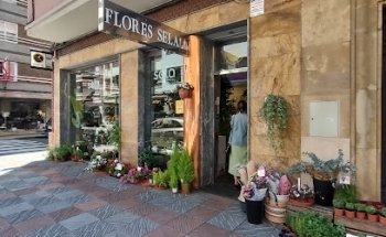 Flores Sela - León