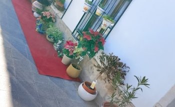 Floristería María Magdalena