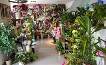 Floristería Mayoral Almadén