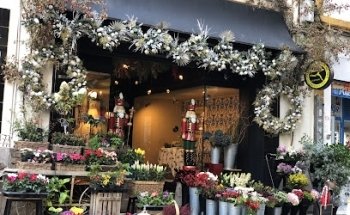 Floristería Cordoba