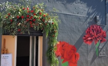 Floristería Acacia Mérida - Florista Maribel