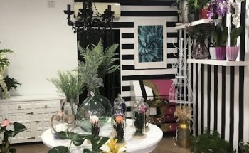 Blanca Pimienta Floristas