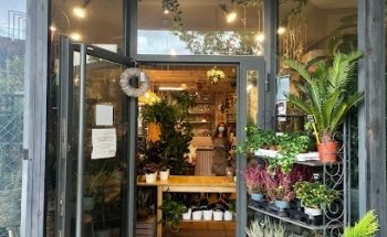 Adiantum Floristería