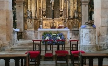 Flowers ana rodriguez