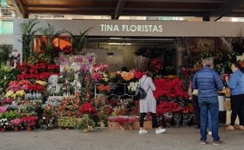 Floristeria Alacant - TINA FLORISTES MERCAT (Flors a domicili)