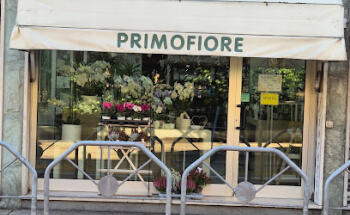 Fioreria Primofiore Trento