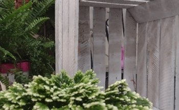 Floristería Vanessa