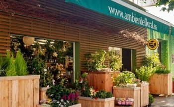 Floristería Ambiente Floral