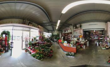 Copif Piante E Fiori Forlì
