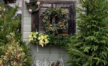 Garden Rivas - VIVEROS