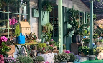 Floristeria VerdePimienta