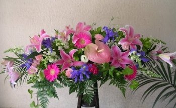 Garayalde Flores Tanatorio M30