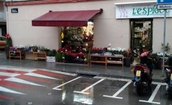 L'Espígol Floristeria