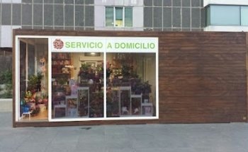 Flores La Paz | Floristería a Domicilio en Madrid