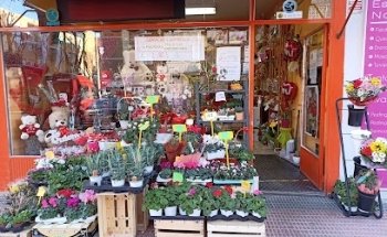Floristería Montse