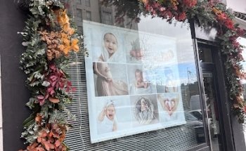 Magnolia Concept Arte Floral