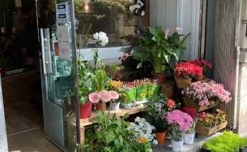 Floristeria PlantArte Barcelona