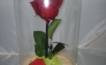 Floristería Mª Luisa