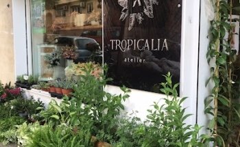 Tropicalia Atelier - Floristería en Málaga y Costa del Sol