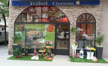 Floristería Vitoria Flores en Red