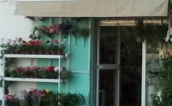 Floristería Alondra