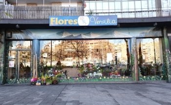Flores Versilia